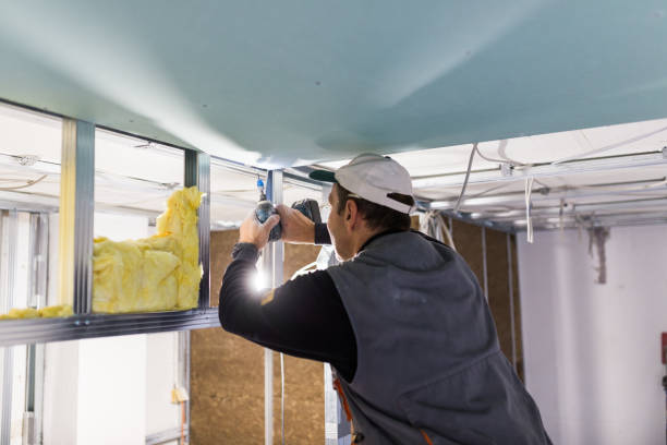 Best Spray Foam Insulation  in Ninety Six, SC