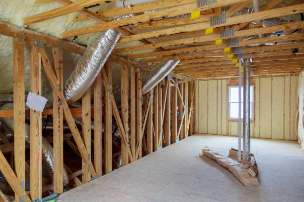 Best Home Insulation Services  in Ninety Six, SC