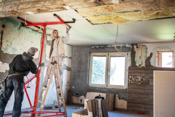 Best Wall Insulation Contractor  in Ninety Six, SC