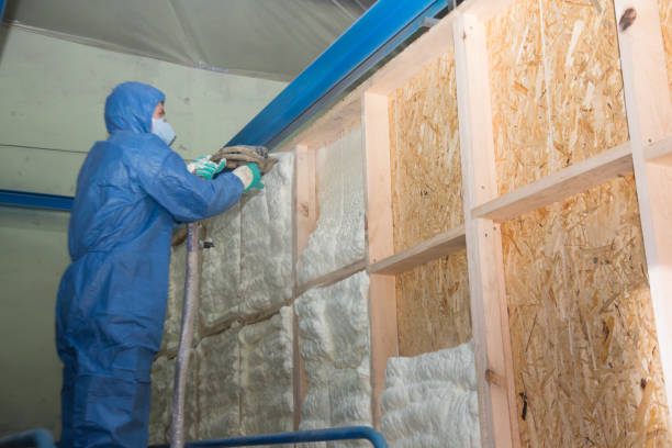 Best Insulation Repair Services  in Ninety Six, SC